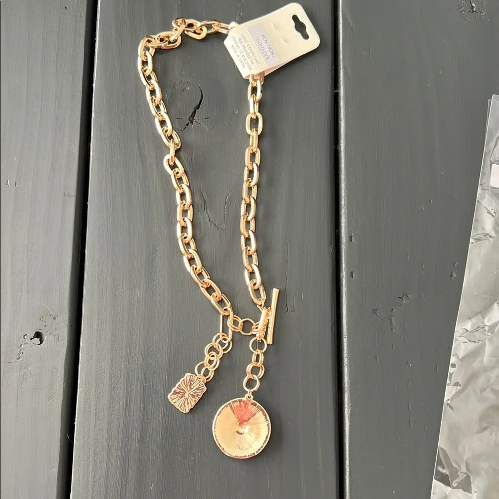 NWT Vici Lasso Love Charm Lariat Necklace - Picture 4 of 9